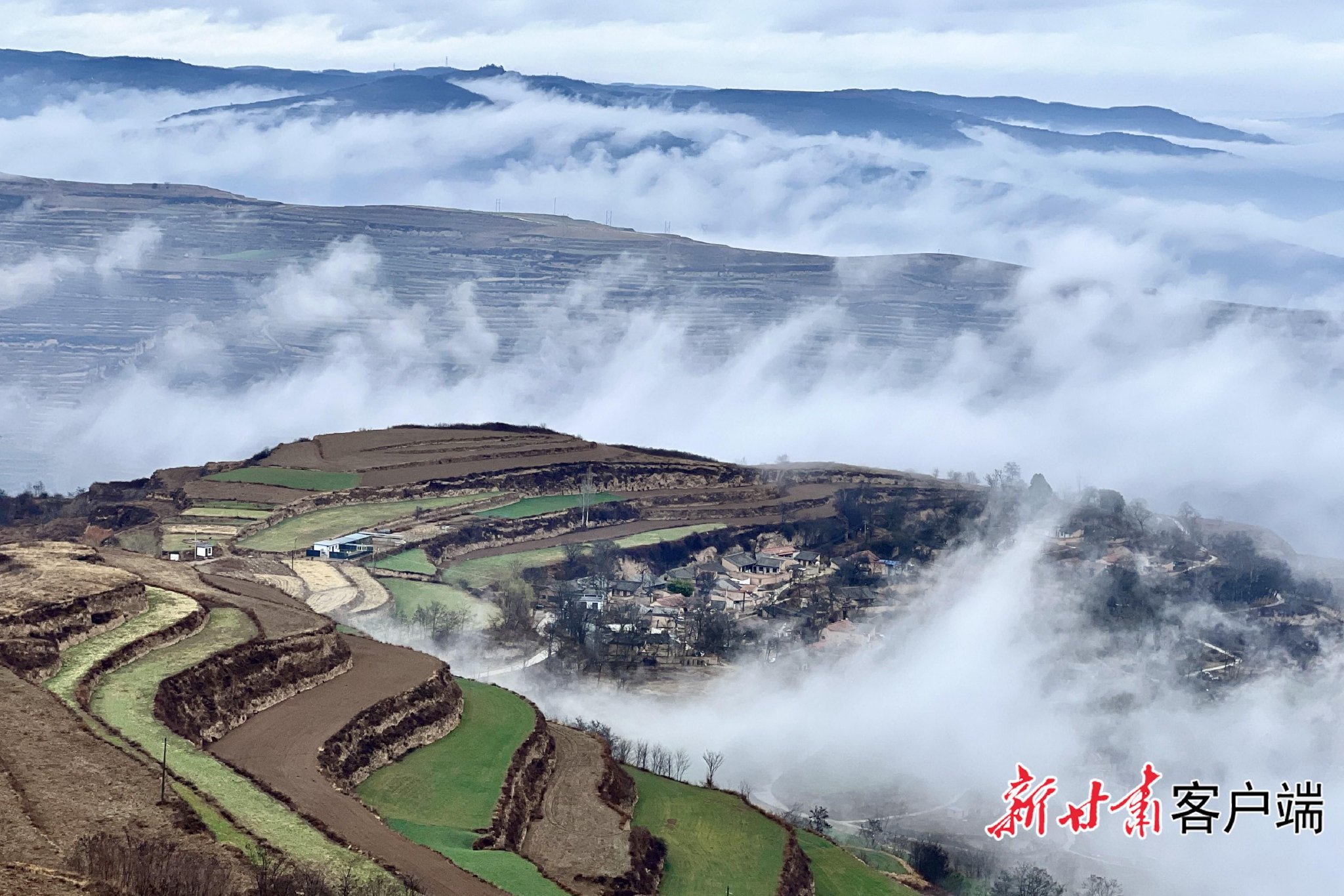 考古甘肃走进礼县四角坪寻找大秦最初的荣光