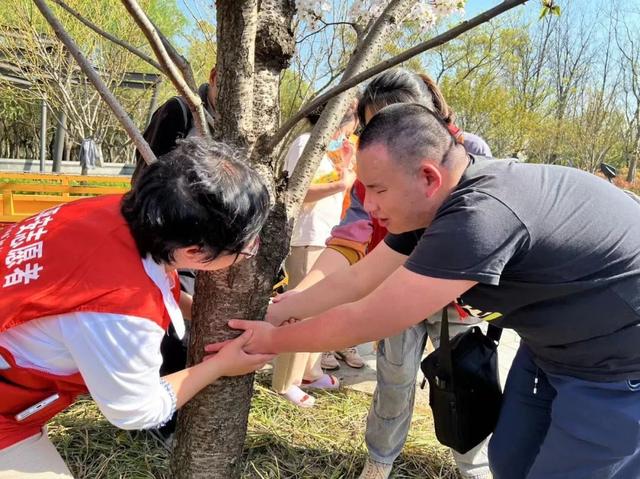 长宁的"郊野公园"迎来一群"特殊的客人"……|导盲犬_新浪财经_新浪网
