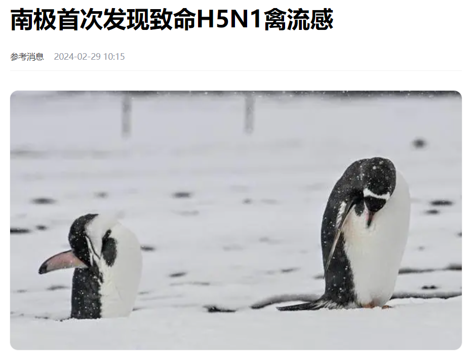 疫苗厂商,日子如何?|禽流感_新浪财经_新浪网