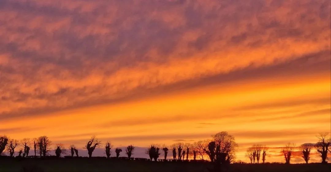 看利率下行】模型信号解读:波动信号由2023年12月22日开始看利率下行