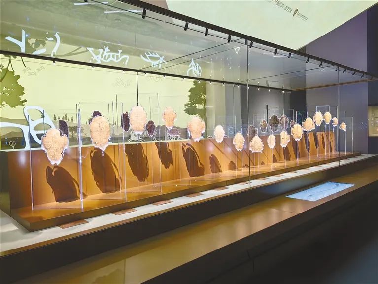 漫步殷墟博物馆新馆,回到3000多年,聆听商文明的回响|文物_新浪财经_