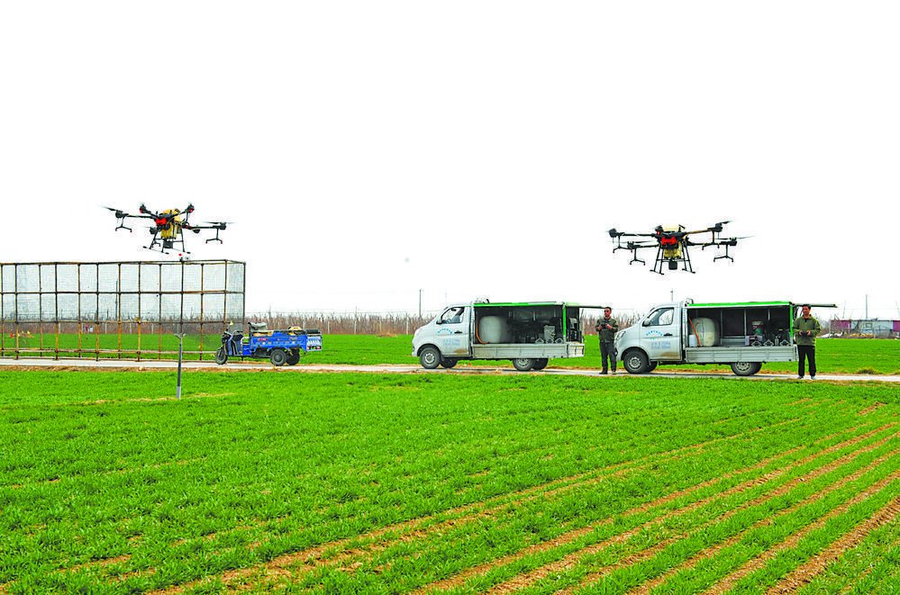 赵县前田村西南的麦田里,植保无人机进行喷药作业.