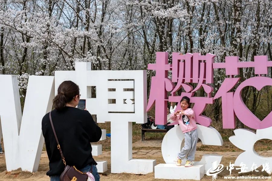 春游江淮请您来|郎溪:千亩樱花盛开 "美丽经济"拓宽致富路|樱花_新浪