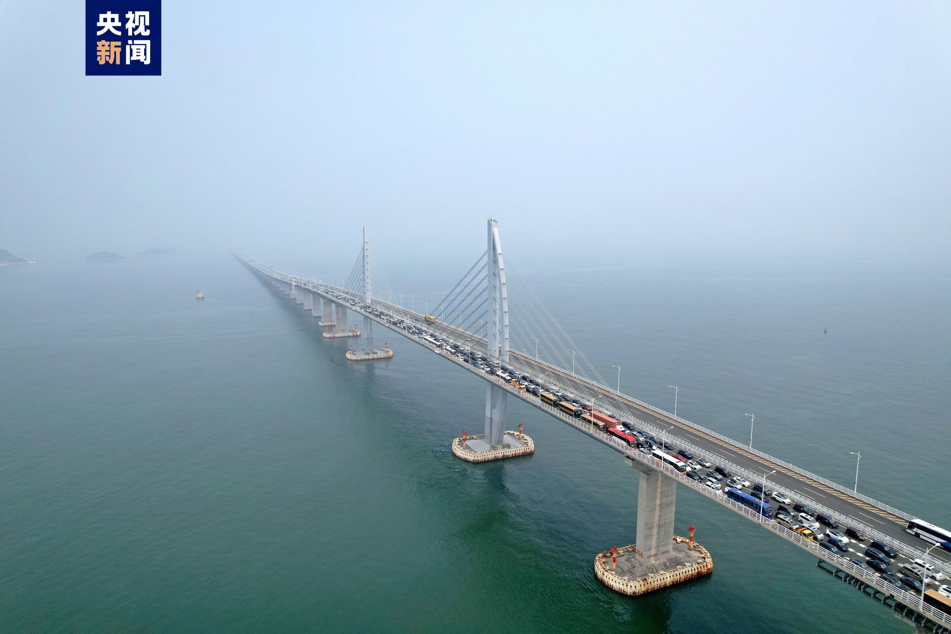 单日1.84万辆次 清明节前港珠澳大桥车流创新高|祭祖_新浪财经_新浪网