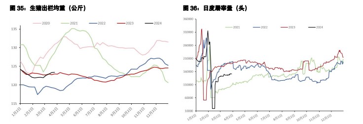 关联品种生猪所属公司：五矿期货