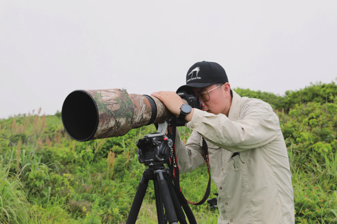 青联人丁鹏在荒岛守望神话之鸟