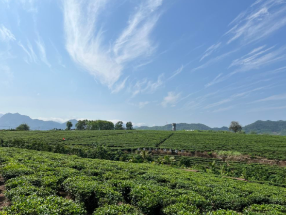 新华社记者罗江 摄在"两山平台"牵线搭桥下,生态产品有望出海.