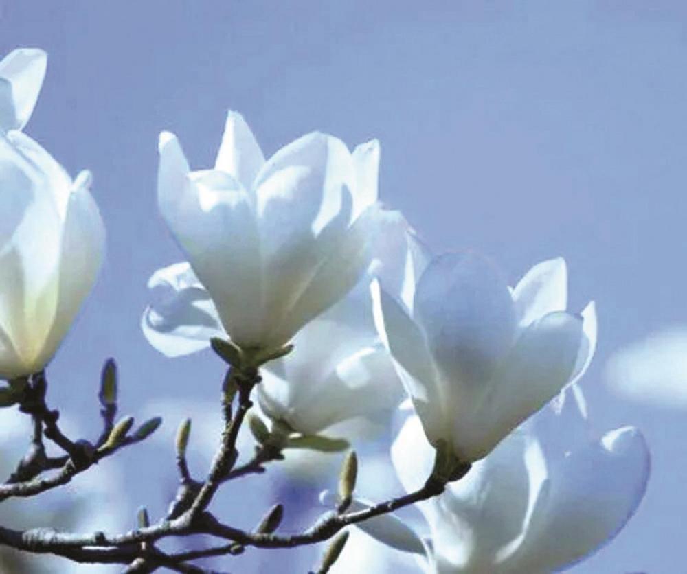 作家张秀中烈士 逝世80周年座谈会在涉县举行_新浪财经_新浪网