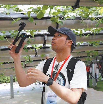 　　闻名在河南商丘市夏邑县太平镇参观龙港湾空中草莓体验馆的智慧农业设施并录制视频。受访者供图