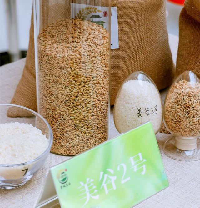 "贤城美谷"优质稻米品牌发布,市民的餐桌有了更多好选择
