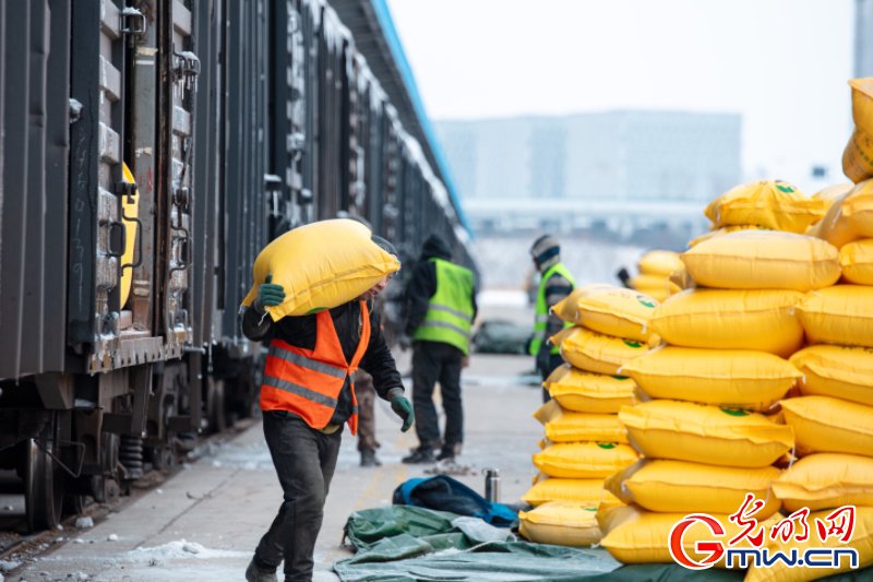 万象"耕"新丨跑出加速度 铁路部门全力保障春耕物资运输畅通