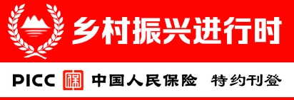 【乡村振兴进行时】致富增收好"姜"来|阳江市_新浪财经_新浪网