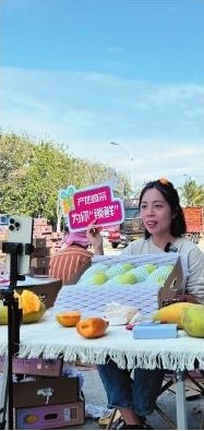 三亚借"网"培训农村电商达人助力乡村振兴_新浪财经_新浪网