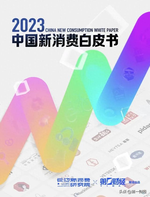 第一财经 x 长沙新消费研究院 《2023中国新消费白皮书》