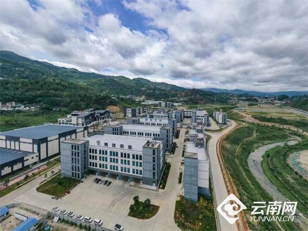 临沧凤庆:多元产改助推园区经济链式发展|临沧市_新浪财经_新浪网