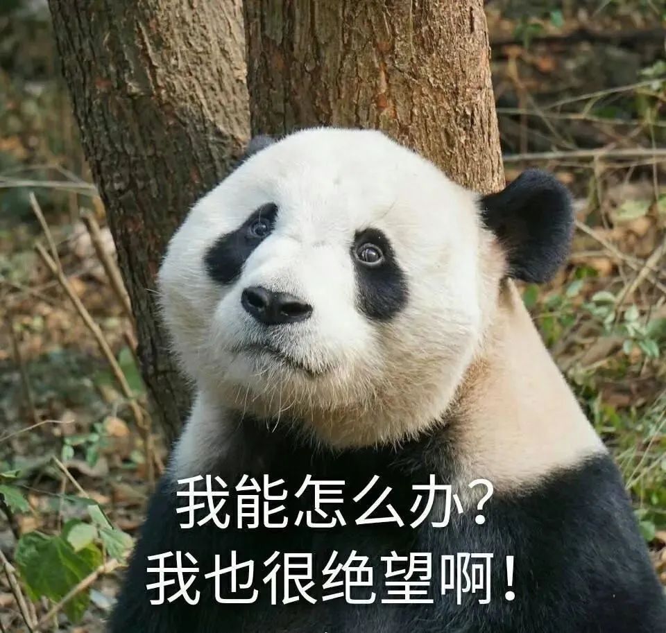 图片来源:网络表情包