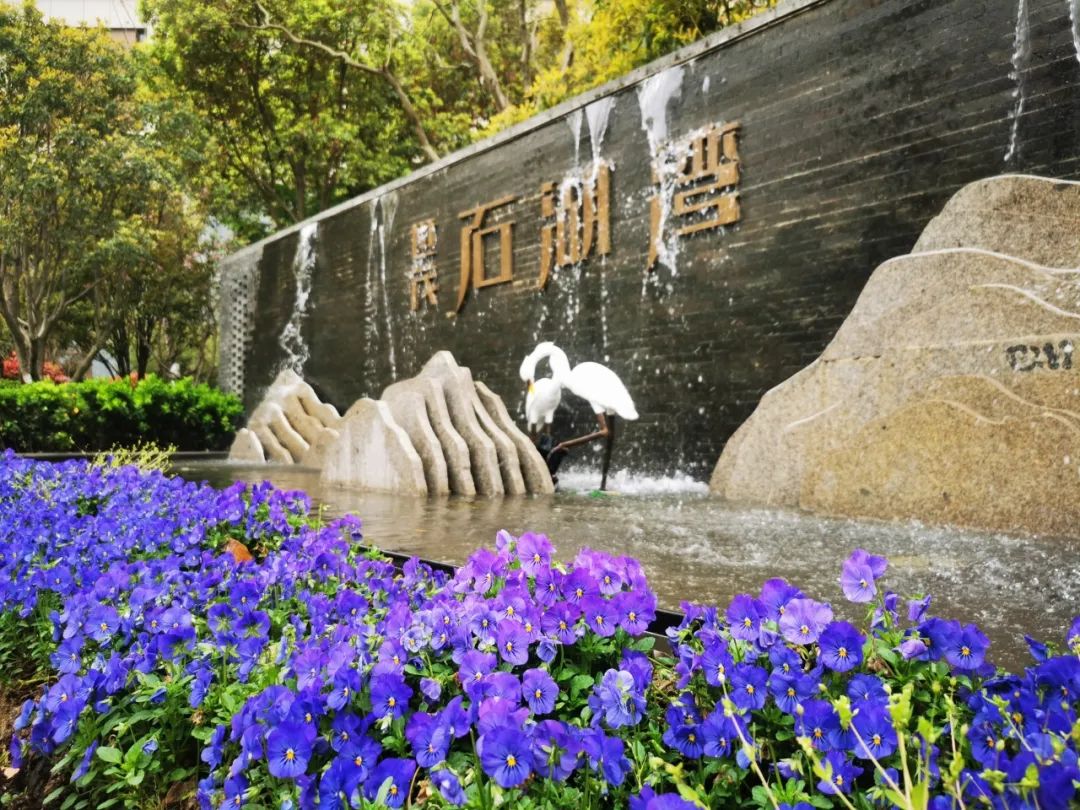 物企动态|苏州世茂石湖湾花园:社区到城市,红色物业有"浓度",更有"