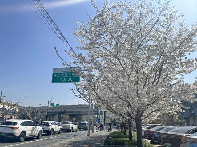 车行驶入中环线上匝道印入眼帘的是限时网红"地标"真北路沿线大渡河路