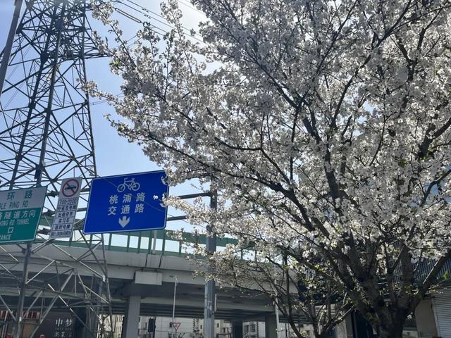 车行驶入中环线上匝道印入眼帘的是限时网红"地标"真北路沿线大渡河路