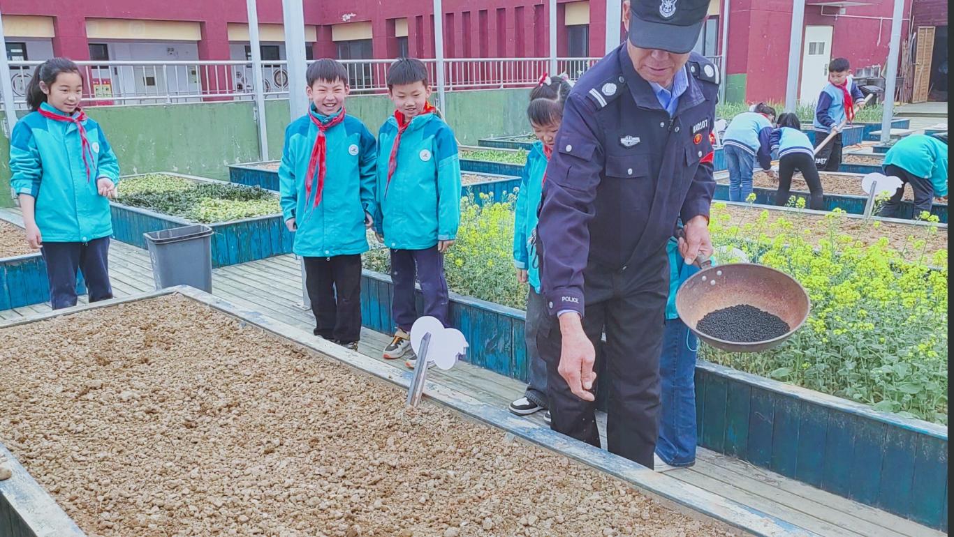 灞桥区赵庄小学开展劳动实践种植探索活动|小学_新浪财经_新浪网