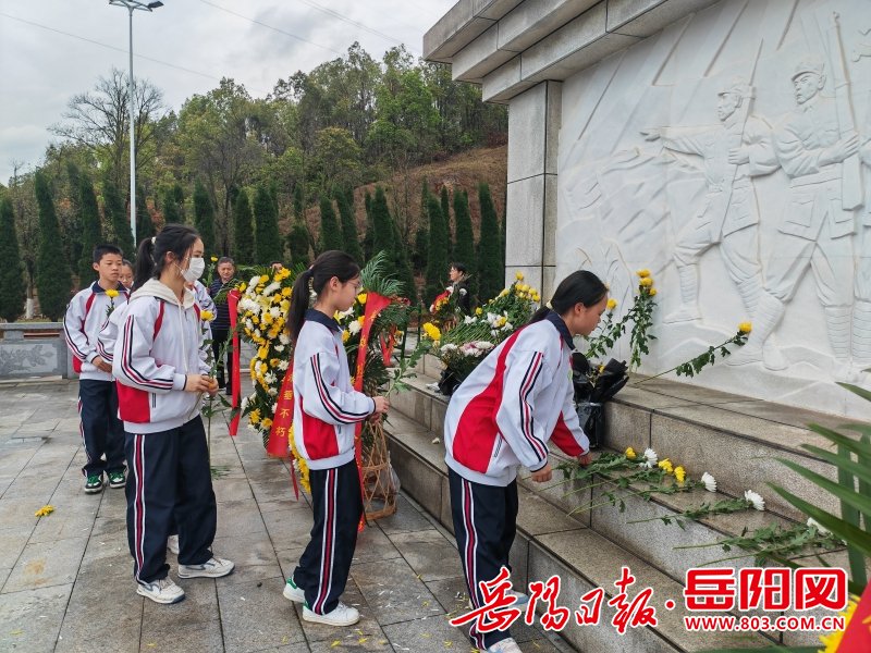 岳阳市第十九中学:继承先烈凌云志,共圆复兴中国梦|岳阳市_新浪财经