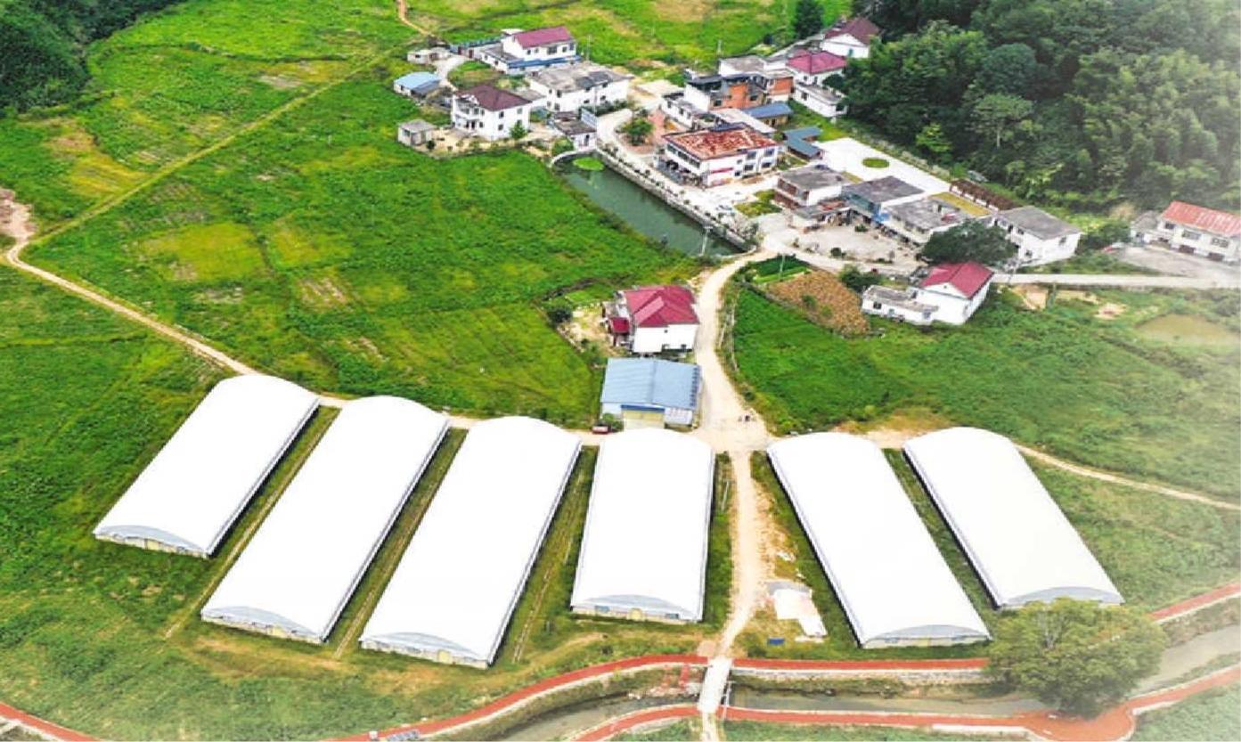 聚焦特色农业发展助力产业转型升级