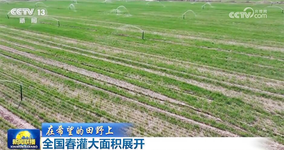 各行各业迎着春风涌动干事创业热潮中国高质量发展根深叶茂