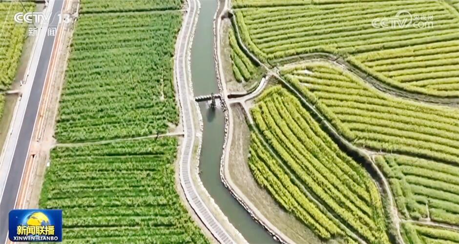 各行各业迎着春风涌动干事创业热潮中国高质量发展根深叶茂