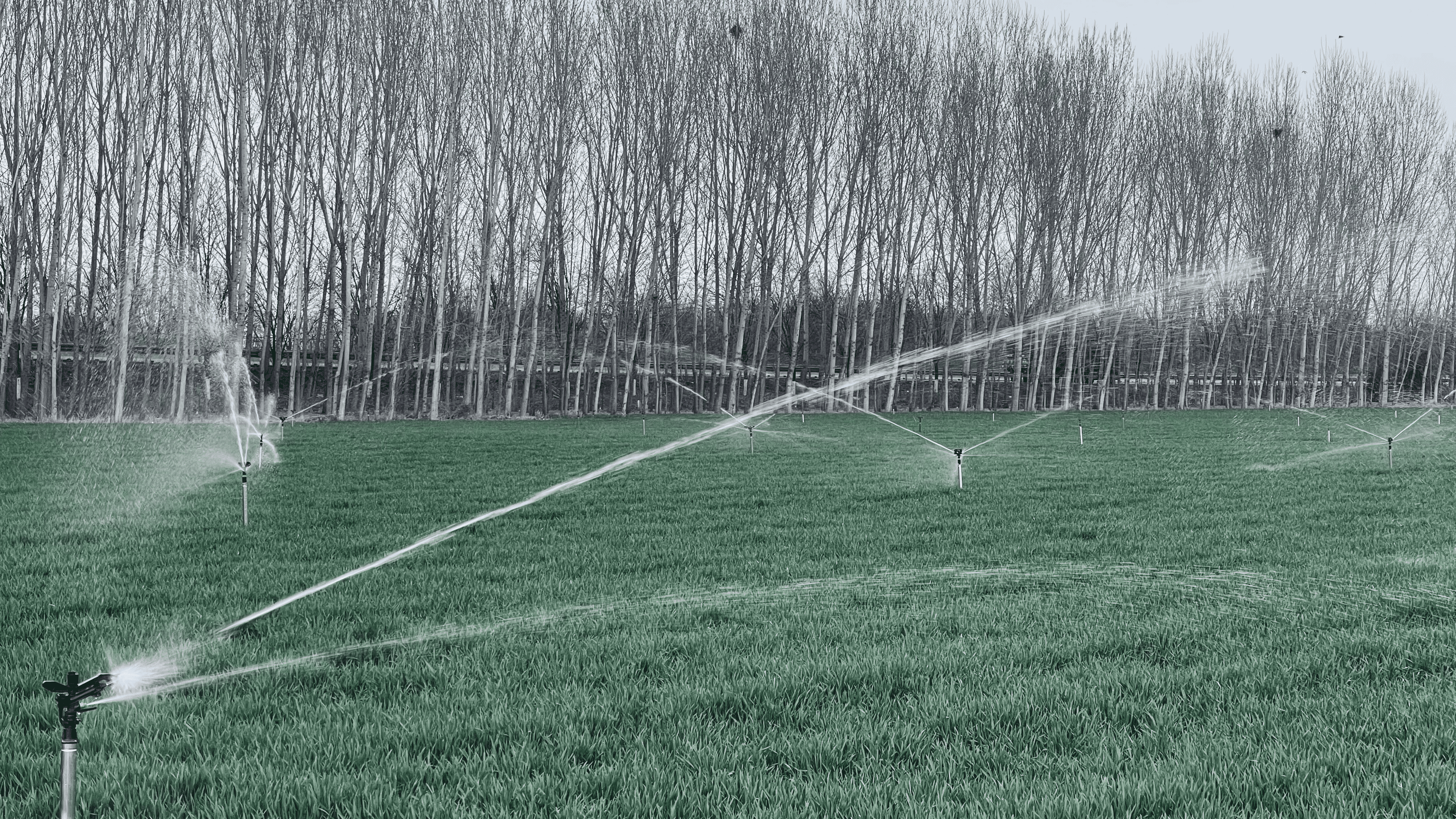 河北易县:机械化管护农作物 让种田更高效_新浪财经_新浪网