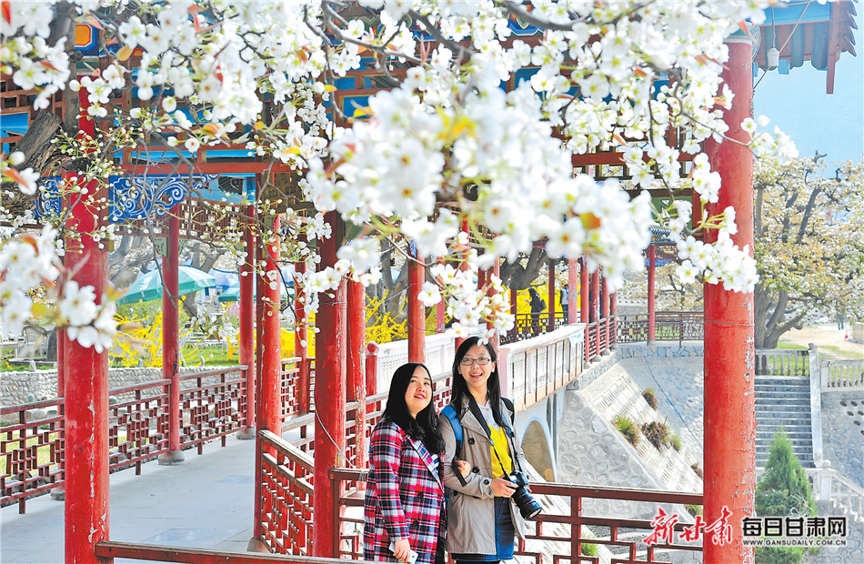 春日赏花季 金城遍芬芳|梨花_新浪财经_新浪网