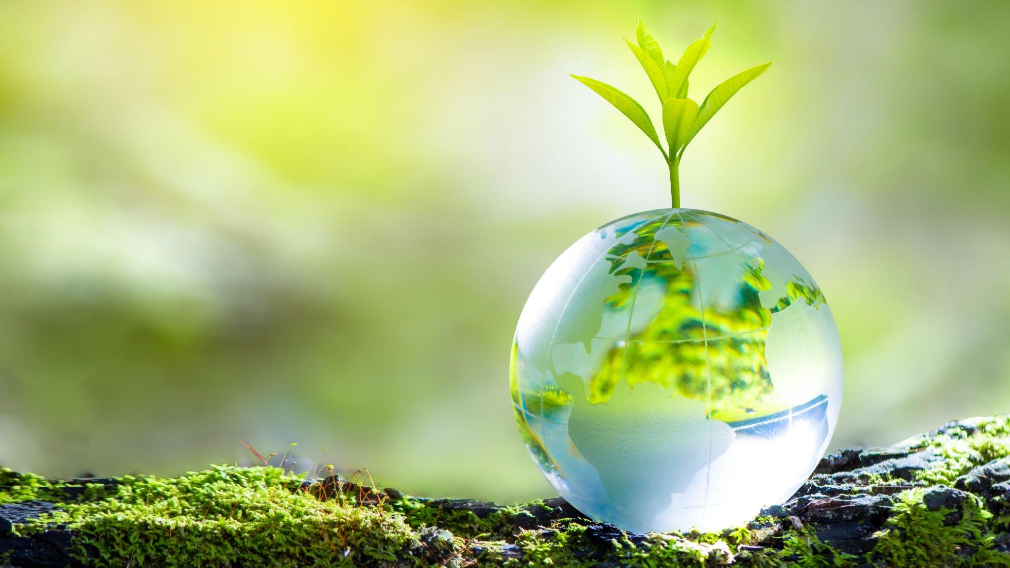 印度即将迎来热浪袭击 或导致煤炭使用量增加_新浪财经_新浪网