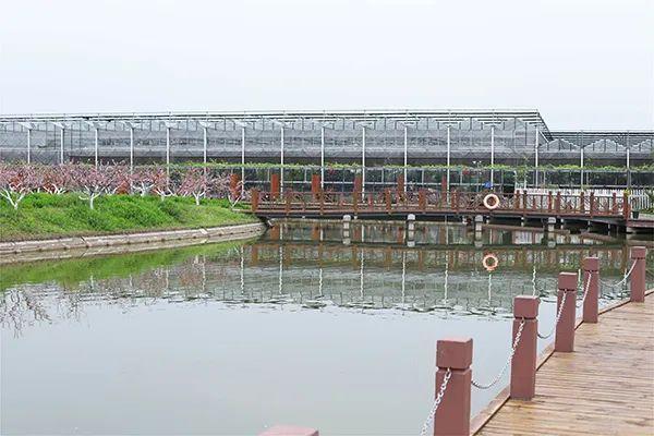 上海两条线路入选农业农村部推介线路|郊野公园_新浪财经_新浪网