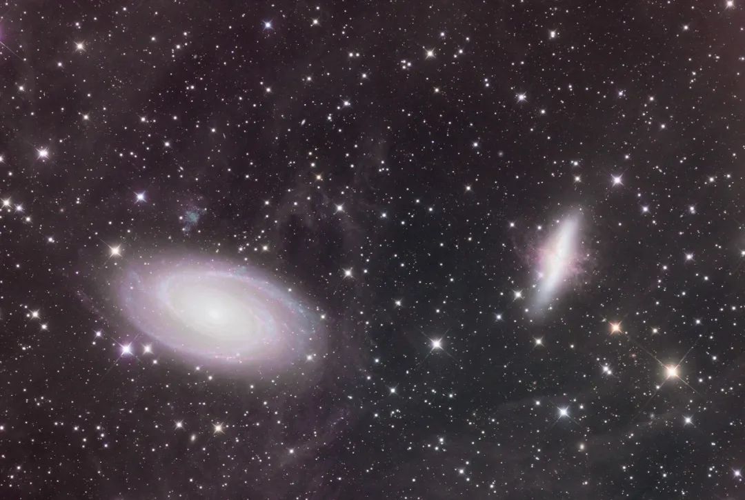 m81