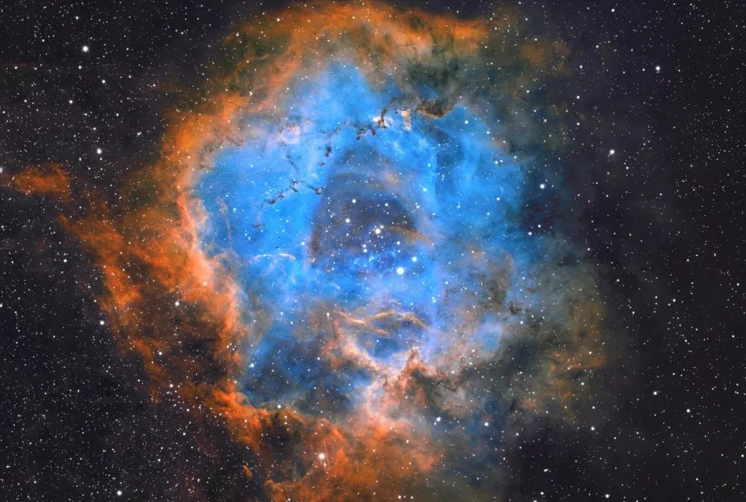 ngc2237玫瑰星云,距离地球约3600光年.