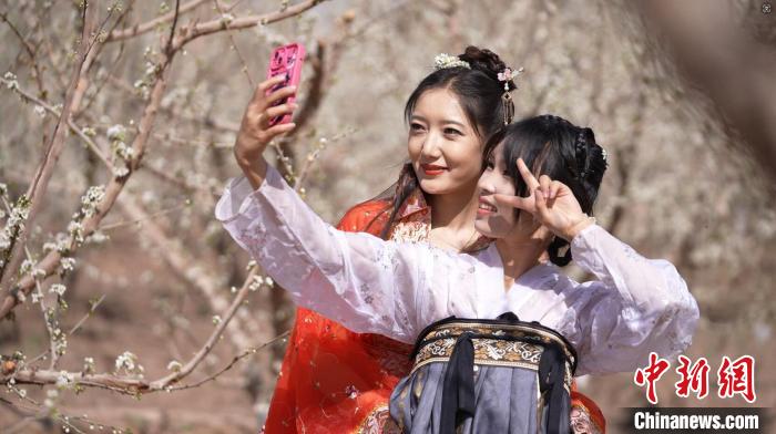 塔依尔·艾力 摄这段时间,不仅是民众赏花踏青的最佳时节,也是果农们