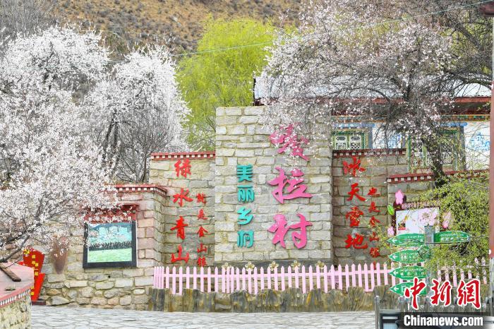中新网林芝4月3日电 (赵朗 贡嘎来松)近日,记者"寻访中国最美春天之旅
