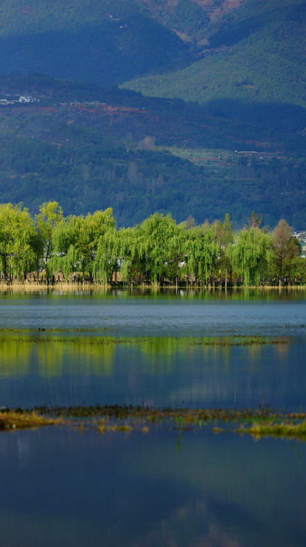 万千气象看云南丨洱源:问渠那得清如许_新浪财经_新浪网