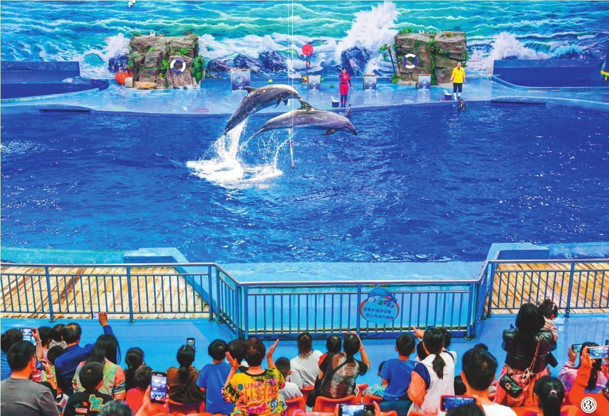 图①:4月2日,在贵阳龙洞堡国际机场关爱孤独症儿童公益活动现场,特殊