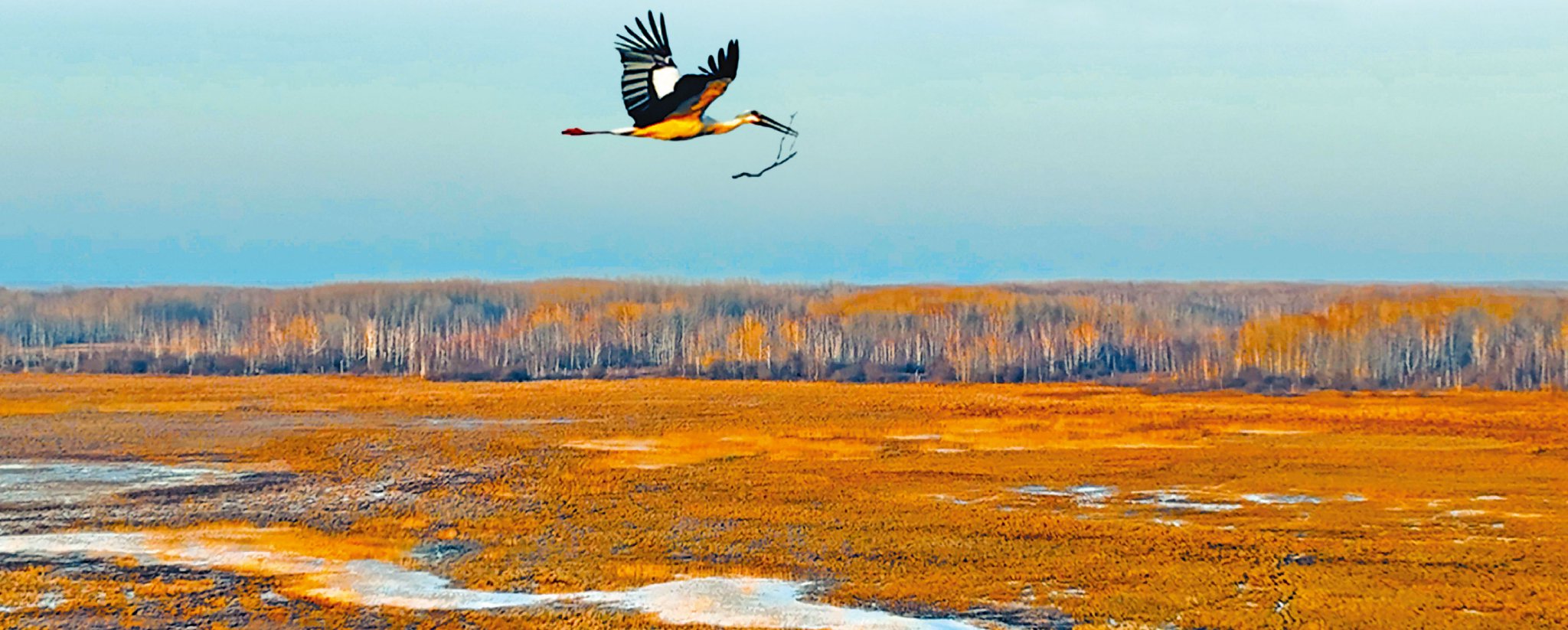 大地_新浪财经_新浪网