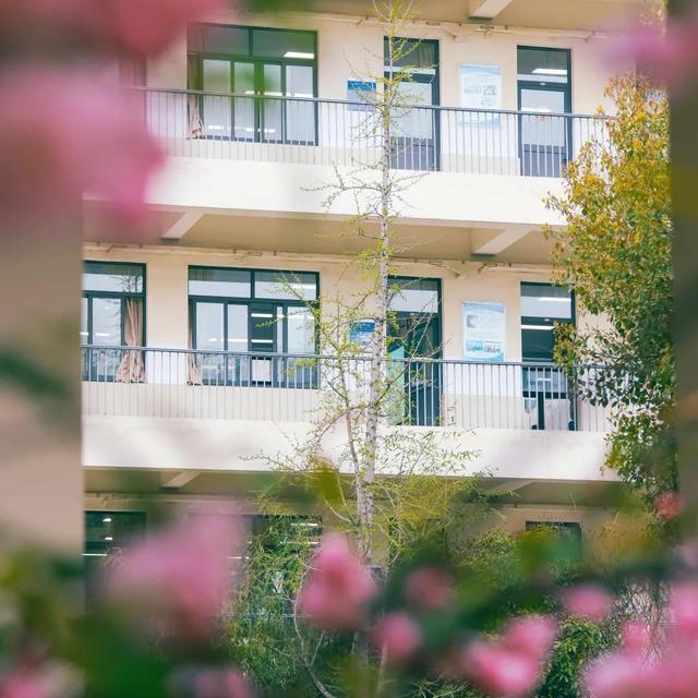 印象嘉定一中:她怀里,总是蓄满鲜花_新浪财经_新浪网