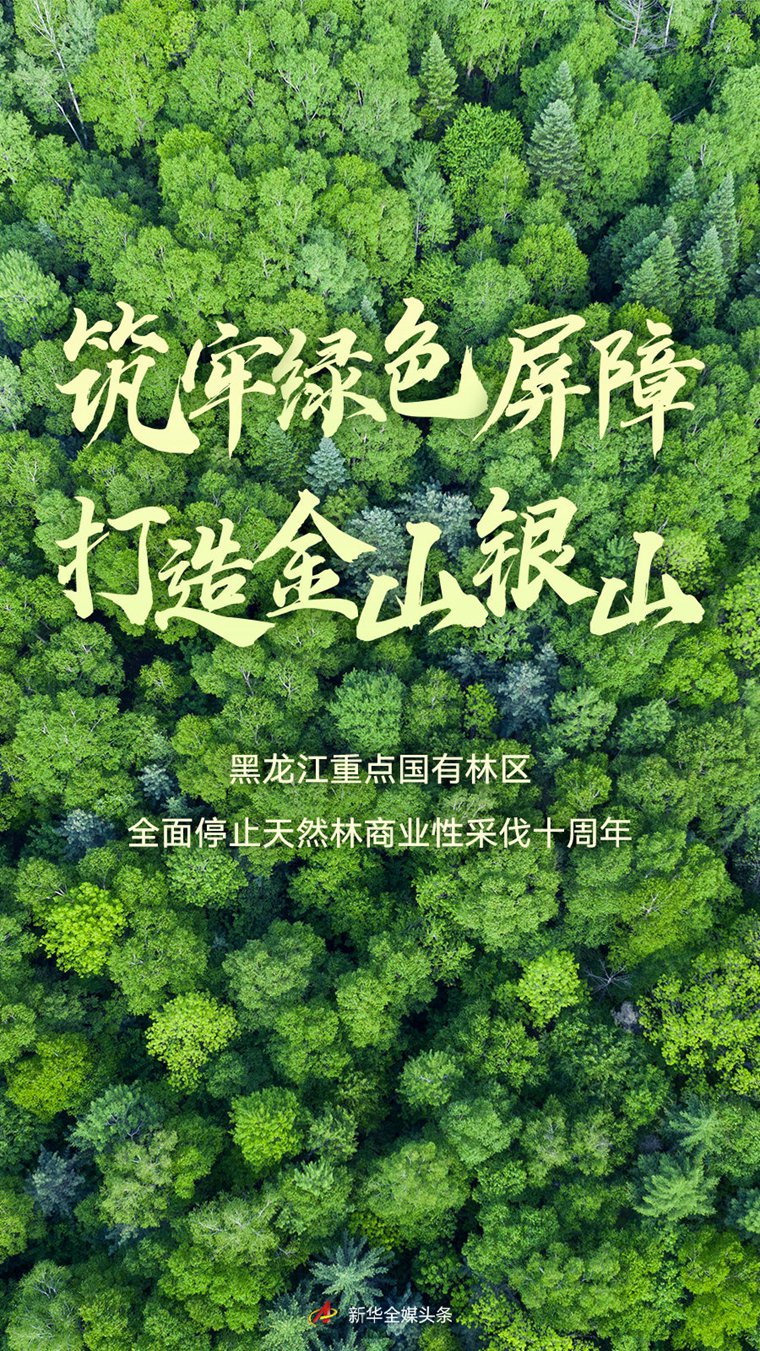 筑牢绿色屏障打造金山银山黑龙江重点国有林区全面停止天然林商业性