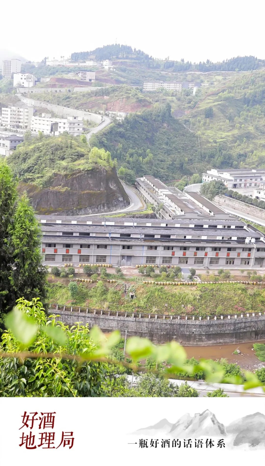 酱香,"舒适"加载中 ▇▇▇▇▇ 100%__财经头条