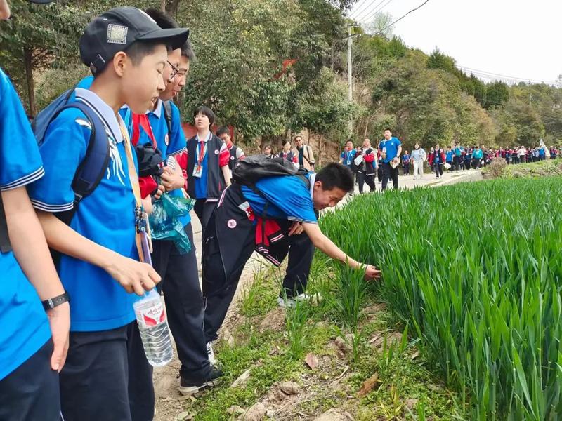 用脚步丈量家乡春色 宝鸡一中远足实践让学生的课堂在路上_新浪财经
