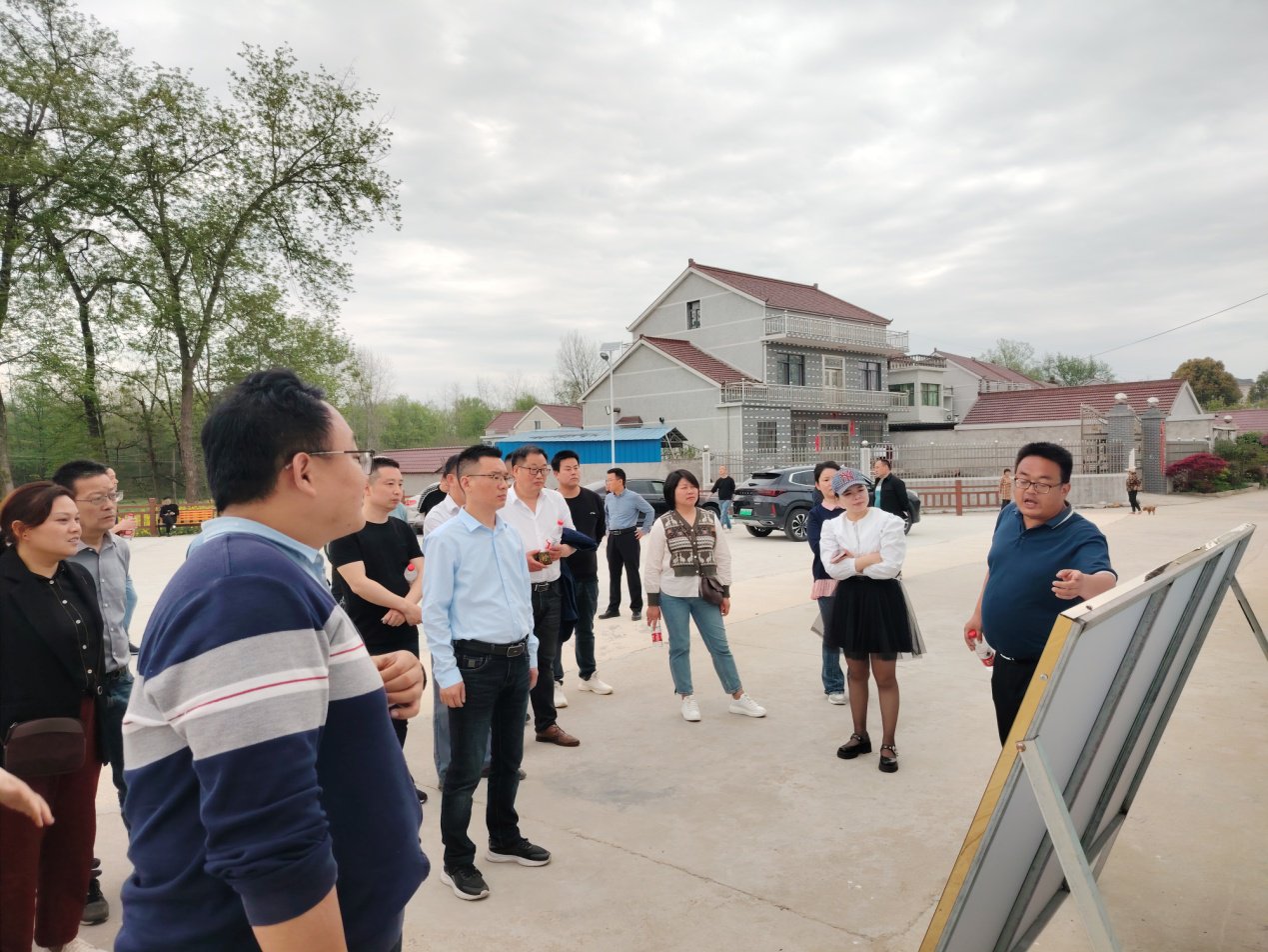 怀宁县石牌镇人大代表考察乡村振兴工作|安徽省_新浪财经_新浪网