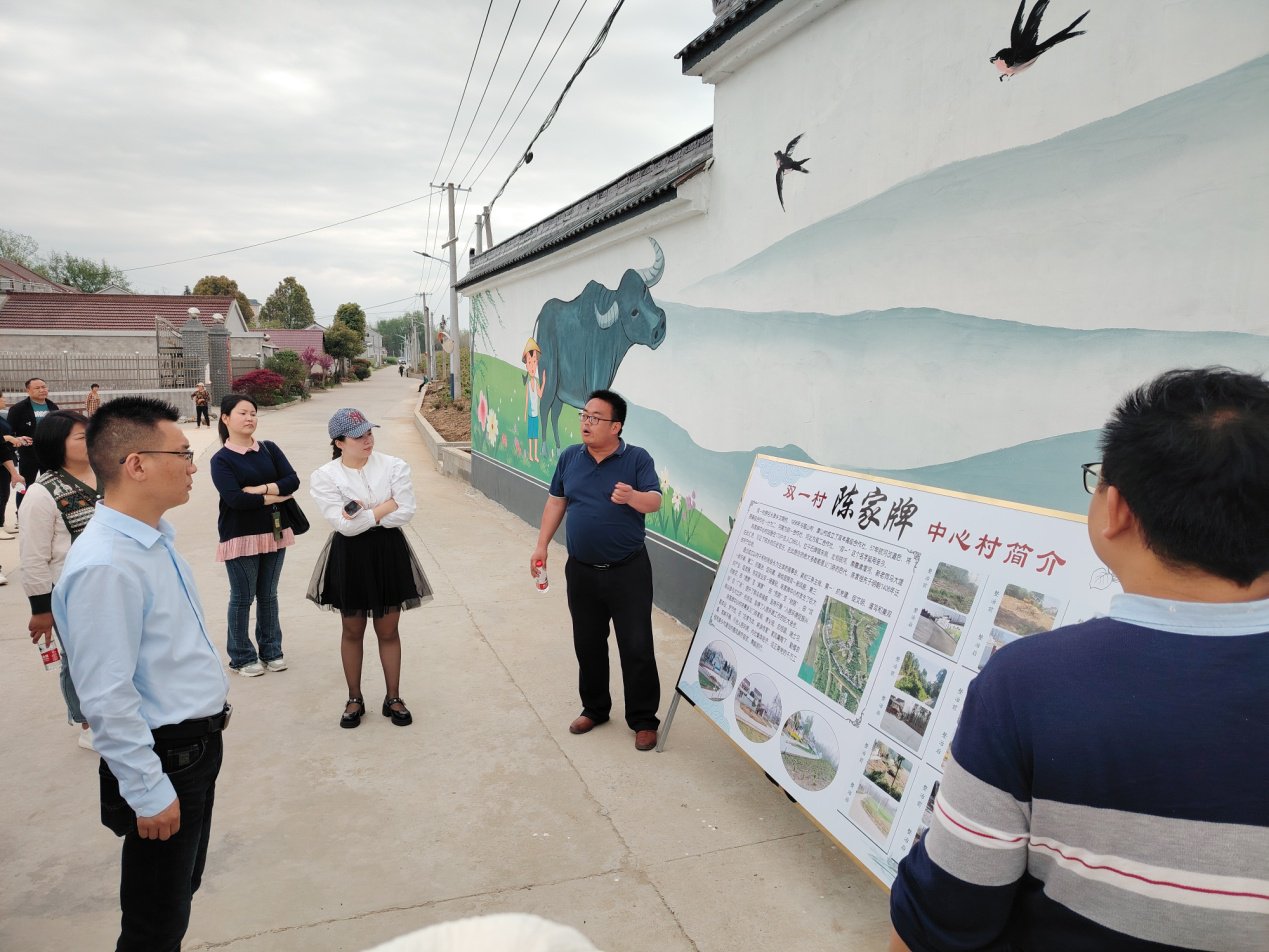 怀宁县石牌镇人大代表考察乡村振兴工作|安徽省_新浪财经_新浪网