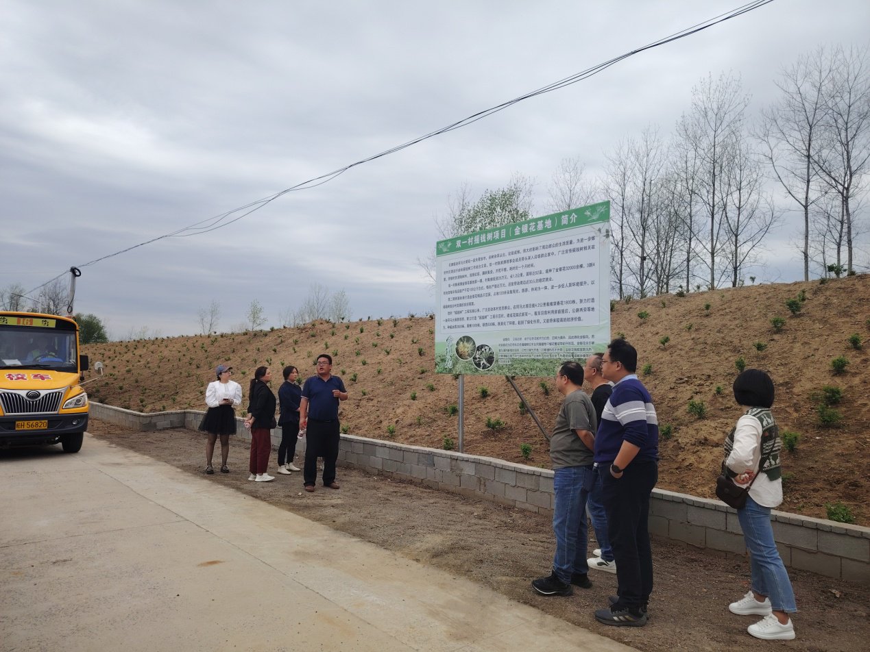 怀宁县石牌镇人大代表考察乡村振兴工作|安徽省_新浪财经_新浪网