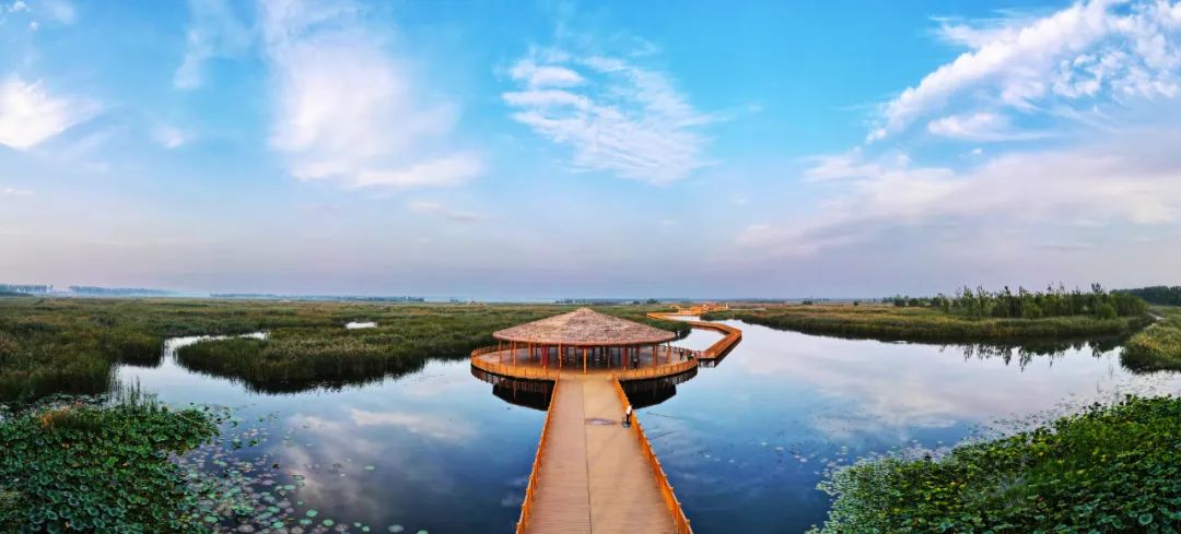 雄安新区:"雄"姿勃发这七年|白洋淀_新浪财经_新浪网