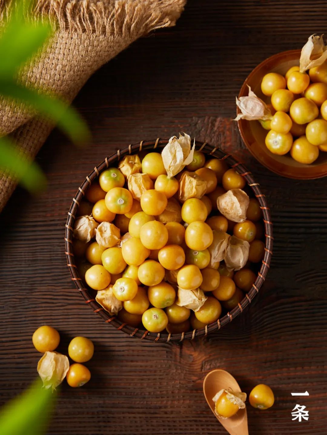 学名毛酸浆,别名又叫锦灯笼,姑娘,菇茑等,是一种浆果类水果,主要产自