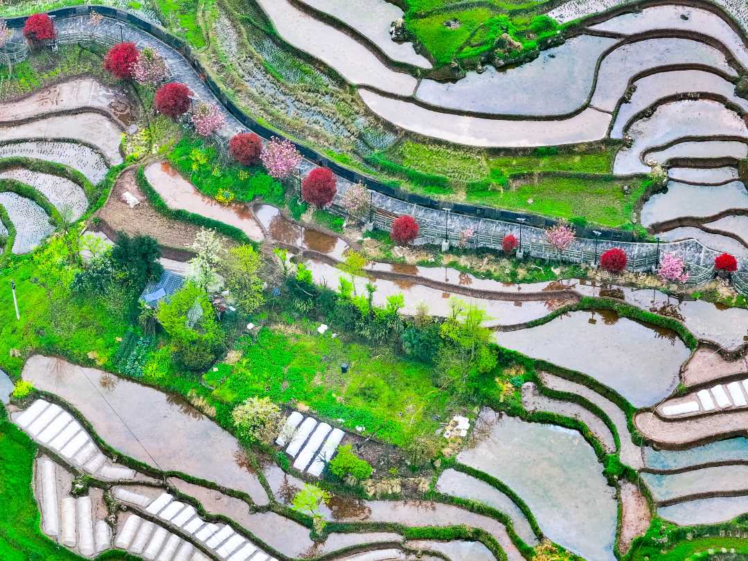 4月3日,俯瞰云南省绥江县中城镇回望村,梯田开始蓄水,为水稻种植做