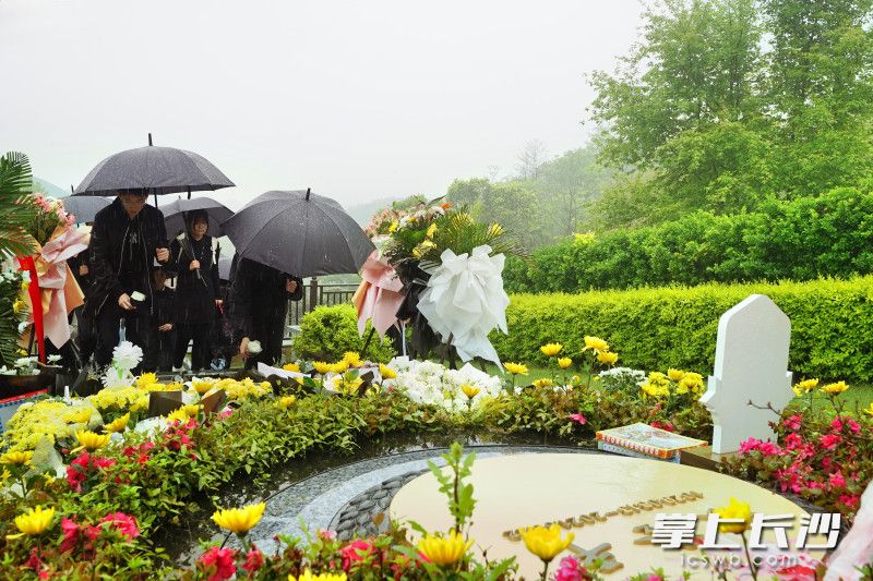 组图丨清明时节雨纷纷,长沙市民冒雨前往唐人万寿园缅怀袁隆平院士